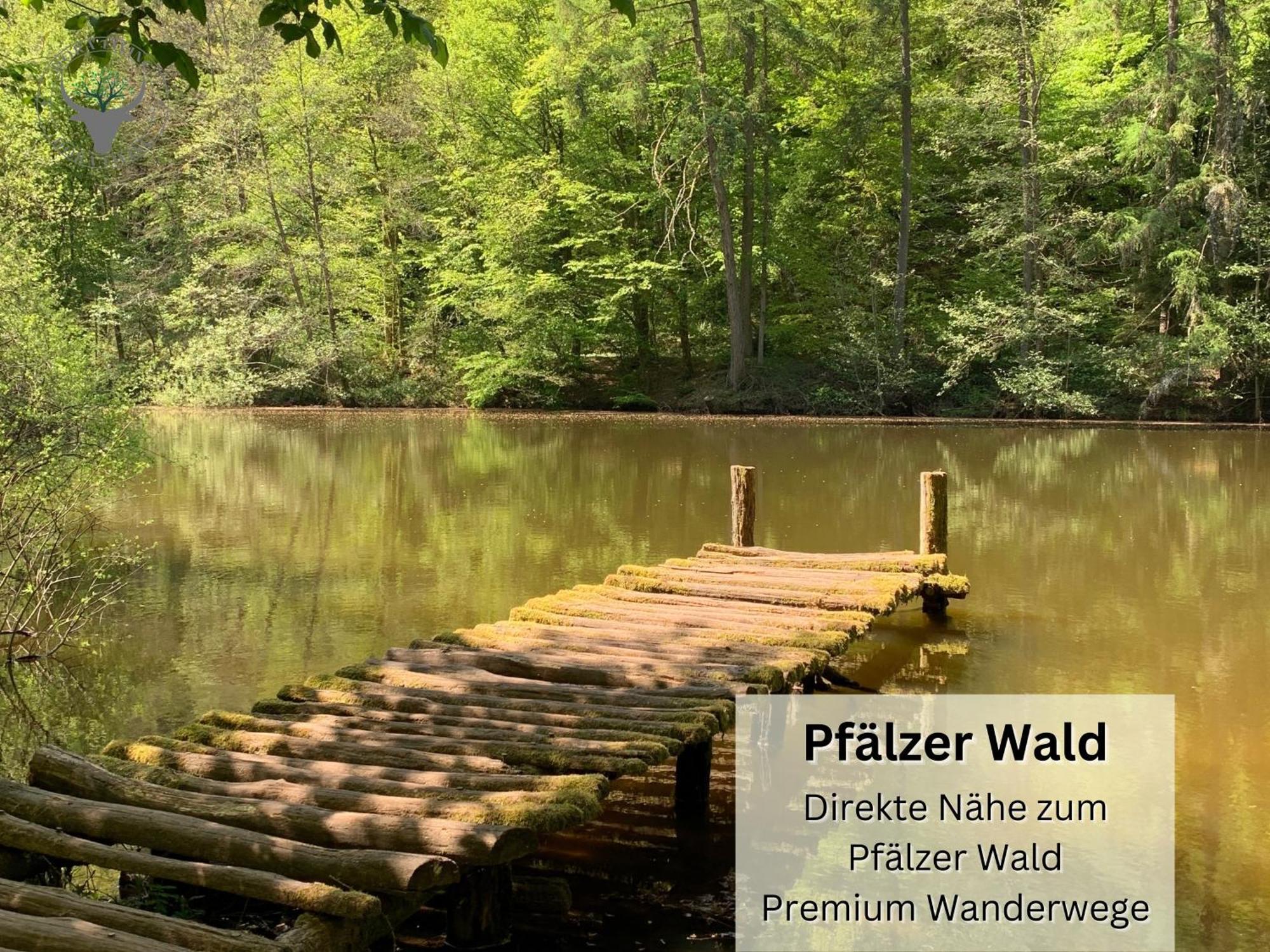 Schuhpartment Am Pfaelzer Wald Naehe Outlet Center Zweibruecken Διαμέρισμα Pirmasens Εξωτερικό φωτογραφία